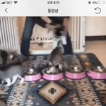 [EXO] 세훈이 이거 좋아요 <b>누름</b> ㅋㅋㅋ