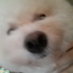 [드루와] 갤럭시 카메라 코 크게 나오는거 <b>레알</b>인 듯
