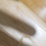 +아 방금 물 먹다가 <b>액체</b>괴물