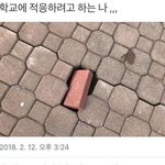 ㅇㄱㄹㅇ <b>나임</b>