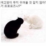 [댓글부탁해] 고2첫날 자기소개 시킴??