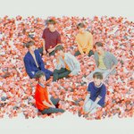 [방탄소년단] 방탄은 좋은데