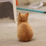 들어가는데 자유를 만끽하고자 17<b>여인</b> 저에게 아무거나 물어봐주세욤