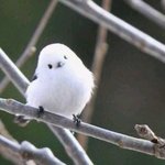 개학날 반<b>배정</b> 나오는 사람??