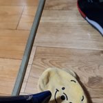 [이것좀봐줘] <b>필통</b>새뀌 더럽게안말라