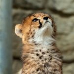 나도 개학날 준비