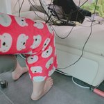 [드루와] <b>새</b>학기고민 이<b>글</b>에서 다 털어라