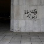 울집 강아지 귀엽징!!!