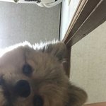 낼부터 아싸 <b>Life</b>^^~