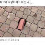 와 내일 <b>입학</b> 실화?