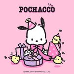 블랙체리향 <b>이짜</b>나