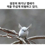 진짜 우리 윗집 미치겠다
