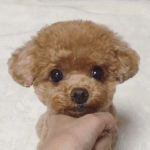 안녕 내일의 나?!