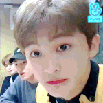 [NCT] 근데 마<b>끄리</b>는 진짜 어딜가나 사랑받을 성격인듯