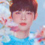 [TXT] 우리 지금 팬톡 너무 좋다 ㅜㅜㅜ