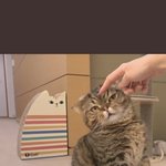 [댓글부탁해] <b>증사</b> 원래 이런 거야? 진짜 눈물 나와;;