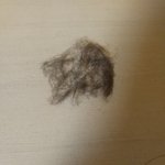 [나<b>털</b>많은듯] 이거바 내 다리털이랑 <b>팔털</b>(약햠)