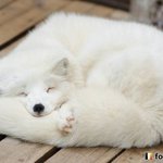 방금 <b>new</b> 맞춤법파괴 봄...