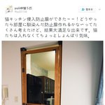 [모두드루와] 고양이 침입 방지<b>문</b>을 달았는데.....