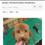 연하게 <b>풀메</b>하는데 시간 어느정도 걸림?