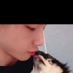 [방탄소년단] 후 위험했다