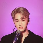 [EXO] 내취향 ㄹㅇ 소나무인듯