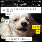 [드루와] 내 친구들 <b>종</b>나 빡<b>침</b>