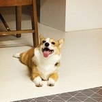 [댓글부탁해] 네 친구가 손 졸라 떨면 어떨 것 같음