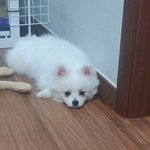 구경하고가개