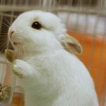 너랑 <b>통화</b>하고싶어