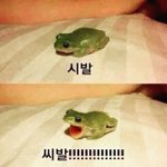 [댓글부탁해] 내일 <b>휴교</b> 안하냐