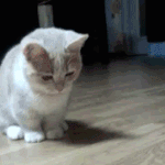 ㅁㅈ <b>귀여</b>웟지