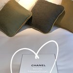 제니 내일 <b>샤넬쇼</b> 참석하는듯