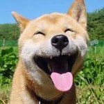 우리 반 배정 어떻게 됐는지 이야기 하자
