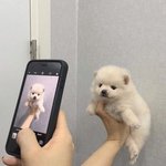 [드루와] <b>톡선</b> 가는 방법