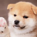[댓글부탁해] 다들 야자 얼마나하는지 적고<b>가조</b>...!