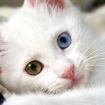 수<b>부지</b> 인생쿠션