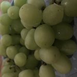 [댓글부탁해] 난 왜 <b>새</b>학기 <b>글</b> 봐도 아무렇지않냐..