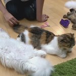 [댓글부탁해] 다짐 하나 적고 오늘 밤에<b>만나자</b>