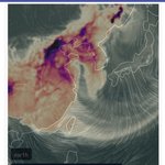 애들아 살인가스 한반도 <b>상륙</b>이래