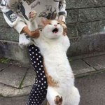 [댓글부탁해] <b>txt</b>연준 최마리 닮지않았냐