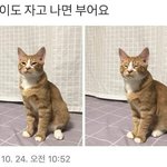 [드루와] 우리집 조카 답없음 진짜