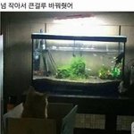 [드루와] 짝남이 내 냄새 좋대ㅠㅜㅜ