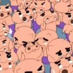 [조언부탁해] 아직 무리 <b>형성</b> 안됐는데