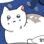 [댓글부탁해] 점심시간에 뭐해야돼?ㅈㅂ들어와줘ㅠ