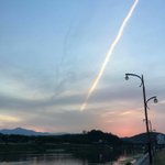 여름이 좋습니다
