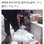 [드루와] 추반)너네 카톡 노래 <b>설정</b>할때
