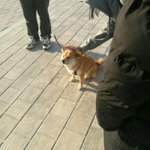[추반] 아십발 친신 걸까말까걸까말까걸마럷걸말걸말걸말 ㅠㅠㅠㅠㅠ
