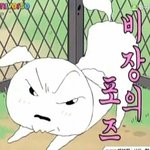 진짜 <b>이민</b>가고싶다