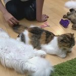 진짜 <b>미세먼지</b>때문에 더 우울한거같애